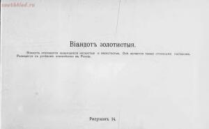 Альбом хозяйственных пород домашней птицы. Настольная книга птицевода 1905 год - 2506718d240a.jpg