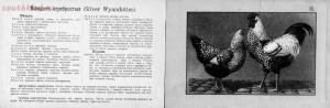 Альбом хозяйственных пород домашней птицы. Настольная книга птицевода 1905 год - ca53ccb6bcd5.jpg