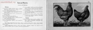 Альбом хозяйственных пород домашней птицы. Настольная книга птицевода 1905 год - b0f1d368480d.jpg