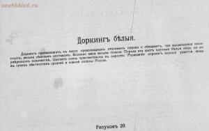 Альбом хозяйственных пород домашней птицы. Настольная книга птицевода 1905 год - 7e0312cc4b0c.jpg