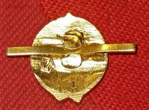 Герб СССР на петлицах и погонах милиции - IMG_2715.jpg
