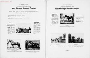 Иллюстрированный альбом рысистого и скакового спорта и перечень русских конных заводов 1905 год - 01003734089_021.jpg