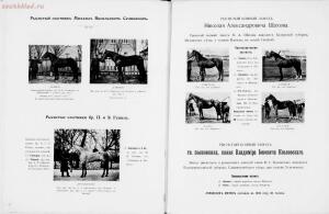 Иллюстрированный альбом рысистого и скакового спорта и перечень русских конных заводов 1905 год - 01003734089_063.jpg