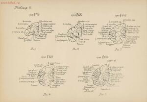 Атлас большого мозга человека и животных 1937 год - 01005159259_070.jpg