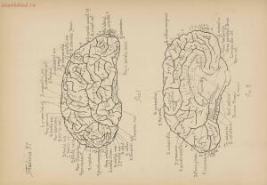 Атлас большого мозга человека и животных 1937 год - 01005159259_190.jpg