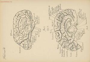 Атлас большого мозга человека и животных 1937 год - 01005159259_230.jpg