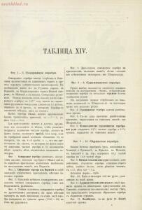 Атлас минералов 1897 года - 01007500301_079.jpg