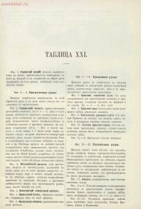 Атлас минералов 1897 года - 01007500301_107.jpg