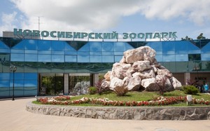 Новосибирцы, привет  - lori-0002890230-bigwww.jpg