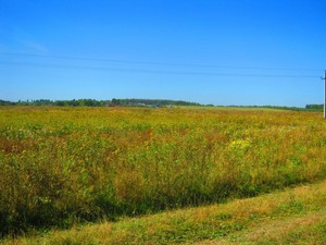 Прогулка по выбитым местам подмосковье - IMG_2689.JPG