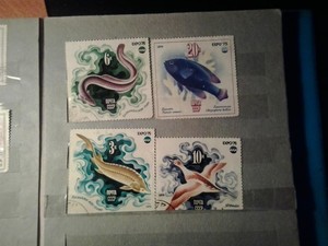 Почтовые марки - гашёные и негашёные до 2000 года  - 2015-03-21 09.35.19.jpg
