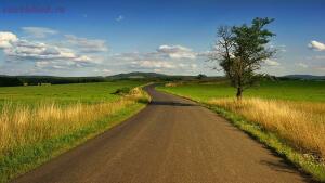 Екатерининская дорога - Roads_Grass_Clouds_556915_1334x750.jpg