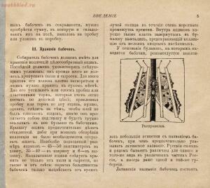 Царство бабочек 1913 год - 992e615277f2.jpg