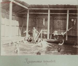 Оренбургский кадетский корпус 1910-1911 гг. - 50402233283_4c69a8c2d1_o.jpg