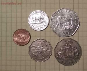 [Куплю] Монеты со слоном - HQ-L3Bd9bEo.jpg