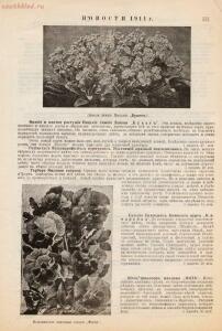 Прейскурант иностраннаго депо семян, цветочных луковиц, роз и многолетних растений Вильгельм Циглер и К° 1911 год - 01010208120_10.jpg