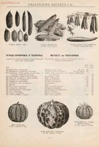 Прейскурант иностраннаго депо семян, цветочных луковиц, роз и многолетних растений Вильгельм Циглер и К° 1911 год - 01010208120_25.jpg