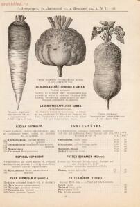 Прейскурант иностраннаго депо семян, цветочных луковиц, роз и многолетних растений Вильгельм Циглер и К° 1911 год - 01010208120_30.jpg