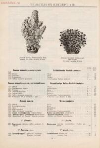 Прейскурант иностраннаго депо семян, цветочных луковиц, роз и многолетних растений Вильгельм Циглер и К° 1911 год - 01010208120_47.jpg