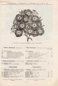 Прейскурант иностраннаго депо семян, цветочных луковиц, роз и многолетних растений Вильгельм Циглер и К° 1911 год - 01010208120_54.jpg