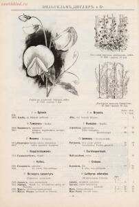 Прейскурант иностраннаго депо семян, цветочных луковиц, роз и многолетних растений Вильгельм Циглер и К° 1911 год - 01010208120_57.jpg