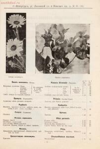 Прейскурант иностраннаго депо семян, цветочных луковиц, роз и многолетних растений Вильгельм Циглер и К° 1911 год - 01010208120_86.jpg