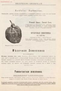 Прейскурант иностраннаго депо семян, цветочных луковиц, роз и многолетних растений Вильгельм Циглер и К° 1911 год - 01010208120_88.jpg