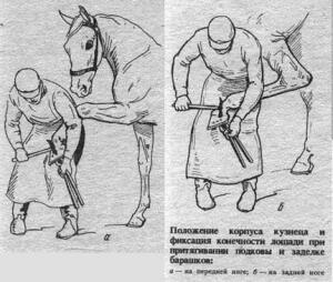 Подковы - horse_37.jpg