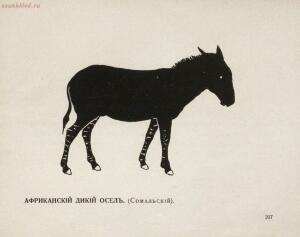 Альбом разных русских и иностранных пород лошадей - _разных_русских_и_иностранных_пород_лошадей_213.jpg