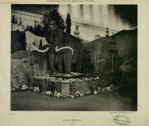 Виды антропологической выставки в Москве 1879 года - _антропологической_выставки_в_Москве_1879_г_43.jpg