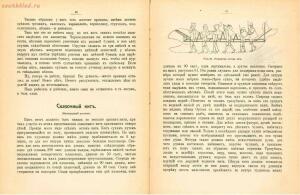 Как устроить дешёвую ёлку 1909 год - Kak_ustroit_deshyovuyu_yolku_18.jpg