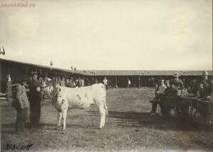 Первая Западно-Сибирская сельскохозяйственная, лесная и промышленная торговая выставка 1911 год - 51884306459_ca19480e17_h.jpg