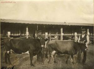 Первая Западно-Сибирская сельскохозяйственная, лесная и промышленная торговая выставка 1911 год - 51884060498_42846389bf_h.jpg