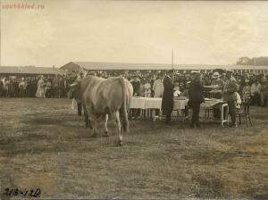 Первая Западно-Сибирская сельскохозяйственная, лесная и промышленная торговая выставка 1911 год - 51884060633_7bd14d0461_h.jpg