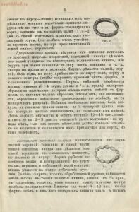 Производство колбас и окороков 1896 год - rsl01003672901_11.jpg