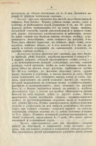 Производство колбас и окороков 1896 год - rsl01003672901_12.jpg