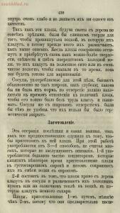 Буфет всевозможных водок 1870 год -  всевозможных водок 1870 год (454).jpg