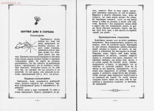 Шалости Будильника , посвященные милым дамам и коварным мужчинам 1889 год - rsl01003625954_17.jpg