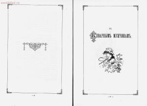 Шалости Будильника , посвященные милым дамам и коварным мужчинам 1889 год - rsl01003625954_18.jpg