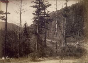 Виды Забайкалья и Иркутска на снимках сибирского фотографа Н. А. Чарушина 1875 года - 34680834_original.jpg