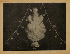 Прейскурант отпускных цен на елочные украшения 1938 года - rsl01005329127_101.jpg