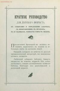 Краткое руководство к собиранию и определению бабочек 1908 год - 05-p0yIAD7o16c.jpg