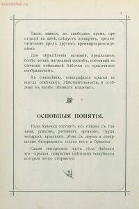 Краткое руководство к собиранию и определению бабочек 1908 год - 06-pB6ELJLwIyo.jpg