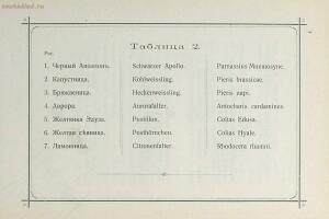 Краткое руководство к собиранию и определению бабочек 1908 год - 07-BP-bcQ1D-to.jpg