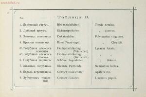 Краткое руководство к собиранию и определению бабочек 1908 год - 10-DpuCajAupe0.jpg