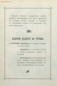 Краткое руководство к собиранию и определению бабочек 1908 год - 12-8dnQXlebSRE.jpg