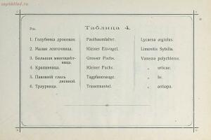 Краткое руководство к собиранию и определению бабочек 1908 год - 13-kPL5c5zgbg.jpg