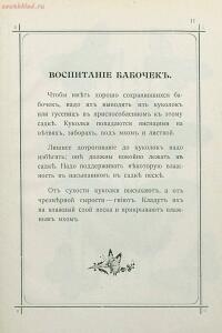 Краткое руководство к собиранию и определению бабочек 1908 год - 18-7Ur7thQ_DHQ.jpg