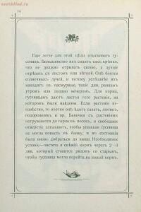 Краткое руководство к собиранию и определению бабочек 1908 год - 23-UuZrsvG4Knw.jpg