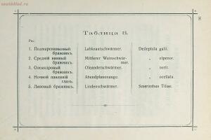 Краткое руководство к собиранию и определению бабочек 1908 год - 25-b0_LKrKUoY0.jpg